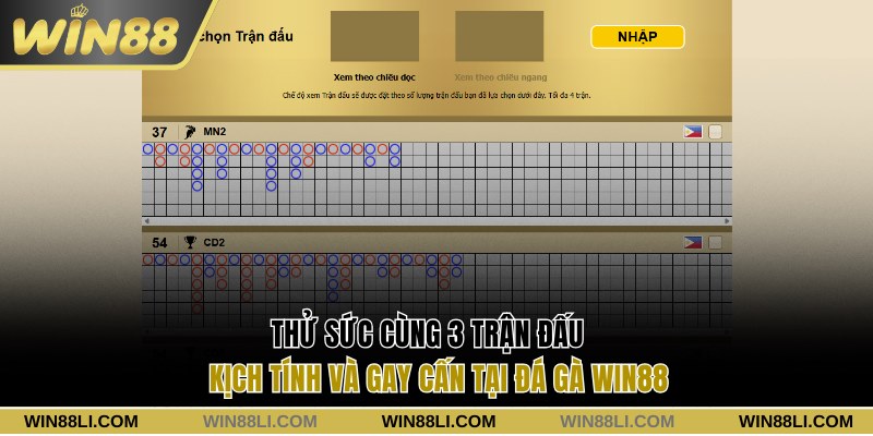 Thử sức cùng 3 trận đấu tại đá gà Win88