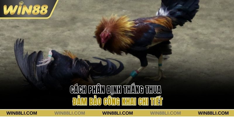 Cách phân định thắng thua đảm bảo công khai chi tiết