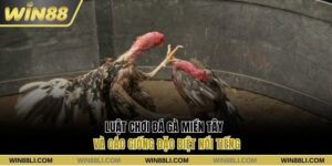 Đá gà miền Tây