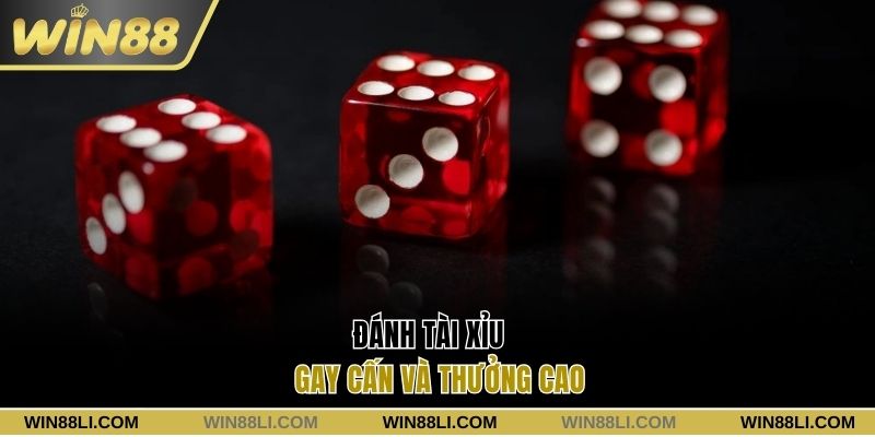 Đánh Tài xỉu gay cấn và thưởng cao