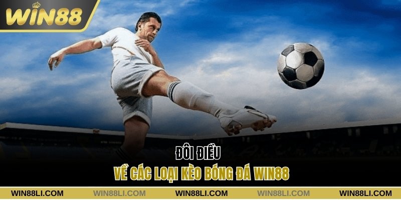 Đôi điều về các loại kèo bóng đá Win88
