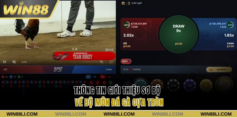 Giới thiệu sơ bộ về bộ môn đá gà cựa tròn