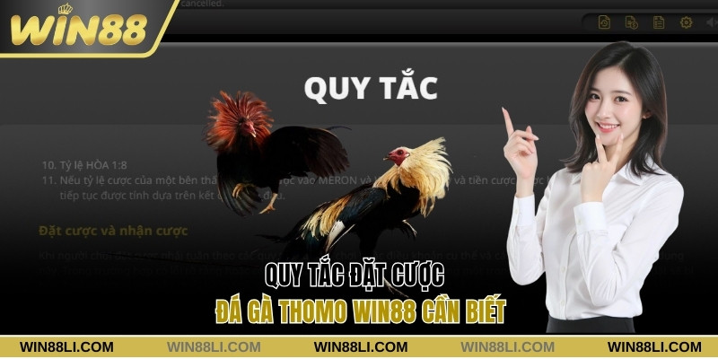 Những quy tắc khi đặt cược đá gà online
