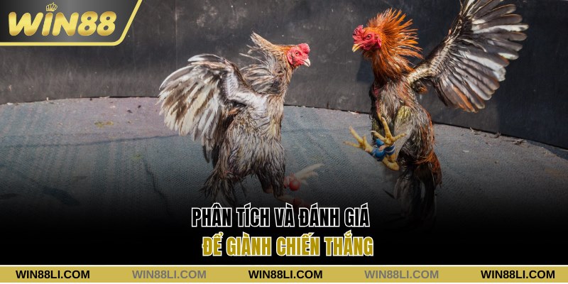 Phân tích và đánh giá để giành chiến thắng