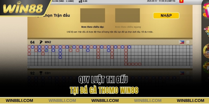 Tìm hiểu luật thi đấu tại trường gà Thomo