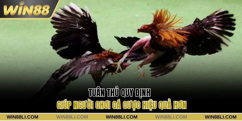 Tuân thủ quy định khi cược là bắt buộc